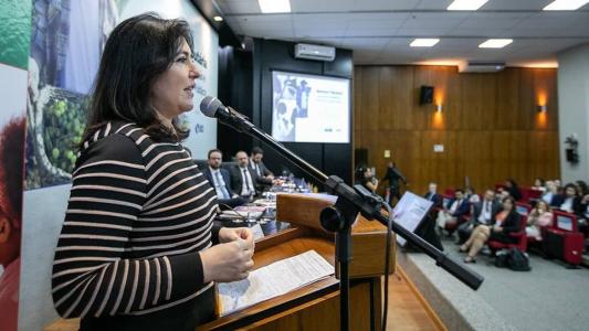 Tebet defende pente-fino no INSS para identificar fraudes