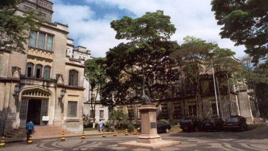Técnica foi desenvolvida por cientistas brasileiros na Faculdade de Medicina da USP
