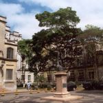 Veja quais cursos na USP estão entre os 50 melhores do mundo, segundo ranking