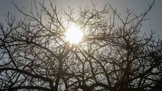 Temperatura foi registrada em Oeiras, no Piauí