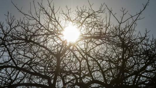 Temperatura foi registrada em Oeiras, no Piauí