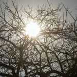 Cidade brasileira tem 'calor de Oriente Médio' e 'umidade de deserto' nesta quinta (5)