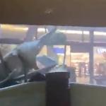Tempestade provoca fortes ventos e destelha shopping no litoral de SP
