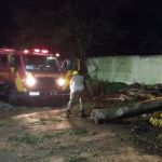 Vídeo: tempestade de granizo derruba árvores e destrói carros em Goiás  