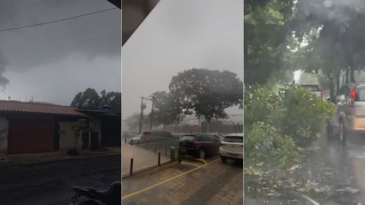 Tempestade volta a atingir BH após Carnaval; vídeos mostram chuva intensa e queda de árvore