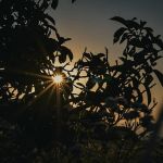 Previsão do tempo: quarta será de céu nublado e não deve chover em Minas  