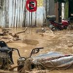 Temporal no litoral norte de São Paulo bloqueia rodovias, cancela Carnaval e provoca pelo menos 36 mortes