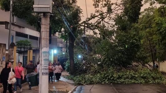 Temporal atingiu o estado de São Paulo na sexta passada