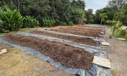 terra boa produtores materiais organicos - divulgação prefeiitura juiz de fora