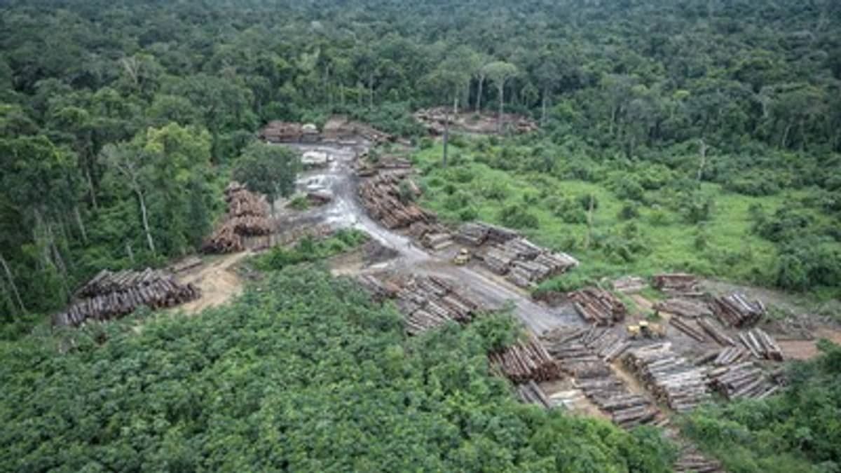 Governo prorroga presença da Força Nacional em terra indígena em Roraima