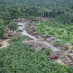 Governo prorroga presença da Força Nacional em terra indígena em Roraima