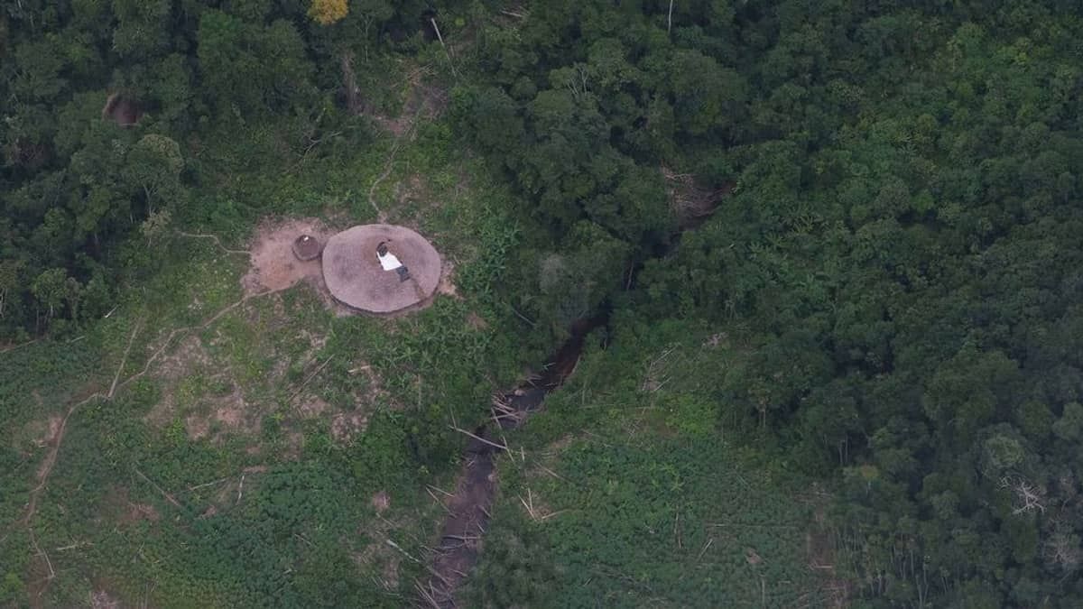 PF investiga mortes de três indígenas por garimpeiros em terra Yanomami