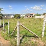 Vereador Vantuir (PSDB) solicita limpeza e capina de terreno na rua B, em Cachoeira do Campo