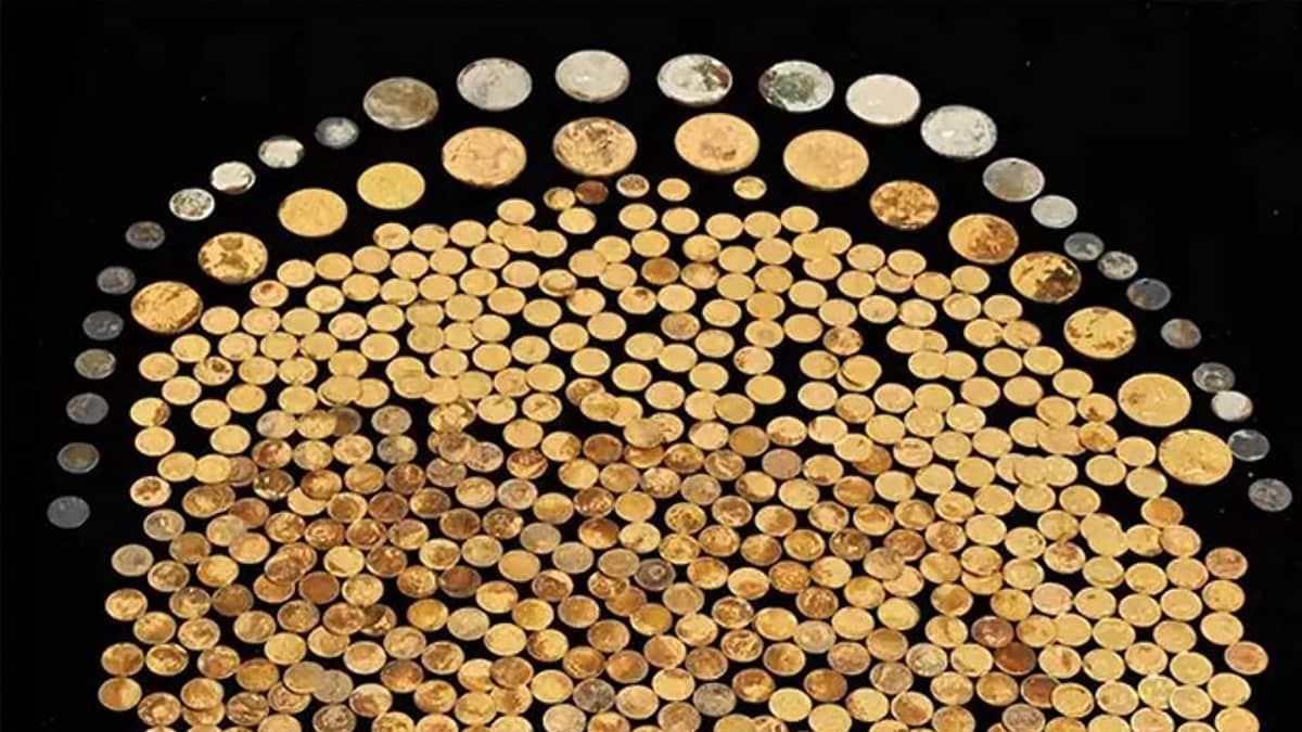 Tesouro com 700 moedas de ouro encontradas em milharal nos EUA está a venda