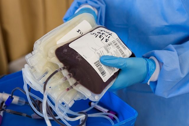 Município indenizará filha de Testemunha de Jeová por transfusão de sangue contra a vontade da mãe