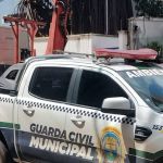 Vídeo: derrubada de árvore centenária revolta moradores no bairro Funcionários em Belo Horizonte