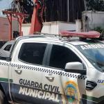Vídeo: derrubada de árvore centenária revolta moradores no bairro Funcionários em Belo Horizonte
