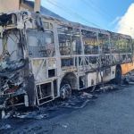 Ônibus pega fogo, chamas se alastram para casa e matam cachorro no interior de Minas  