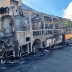 Ônibus pega fogo, chamas se alastram para casa e matam cachorro no interior de Minas