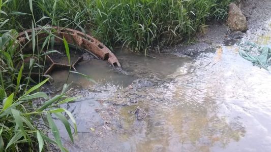 Testemunhas relatam que mau cheiro está insuportável