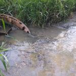 Moradores de Sabará denunciam esgoto a céu aberto: 'mais de 4 meses' 