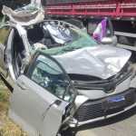 Corolla atropela vaca e teto do carro é arrancado no interior de Minas; duas pessoas ficaram feridas