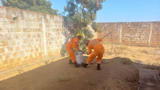 Animal foi resgatado pelo Corpo de Bombeiros de Janaúba, nessa quinta-feira (21)
