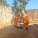 Bombeiros resgatam macaco em pátio de posto de saúde no Norte de Minas