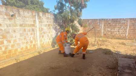 Animal foi resgatado pelo Corpo de Bombeiros de Janaúba, nessa quinta-feira (21)