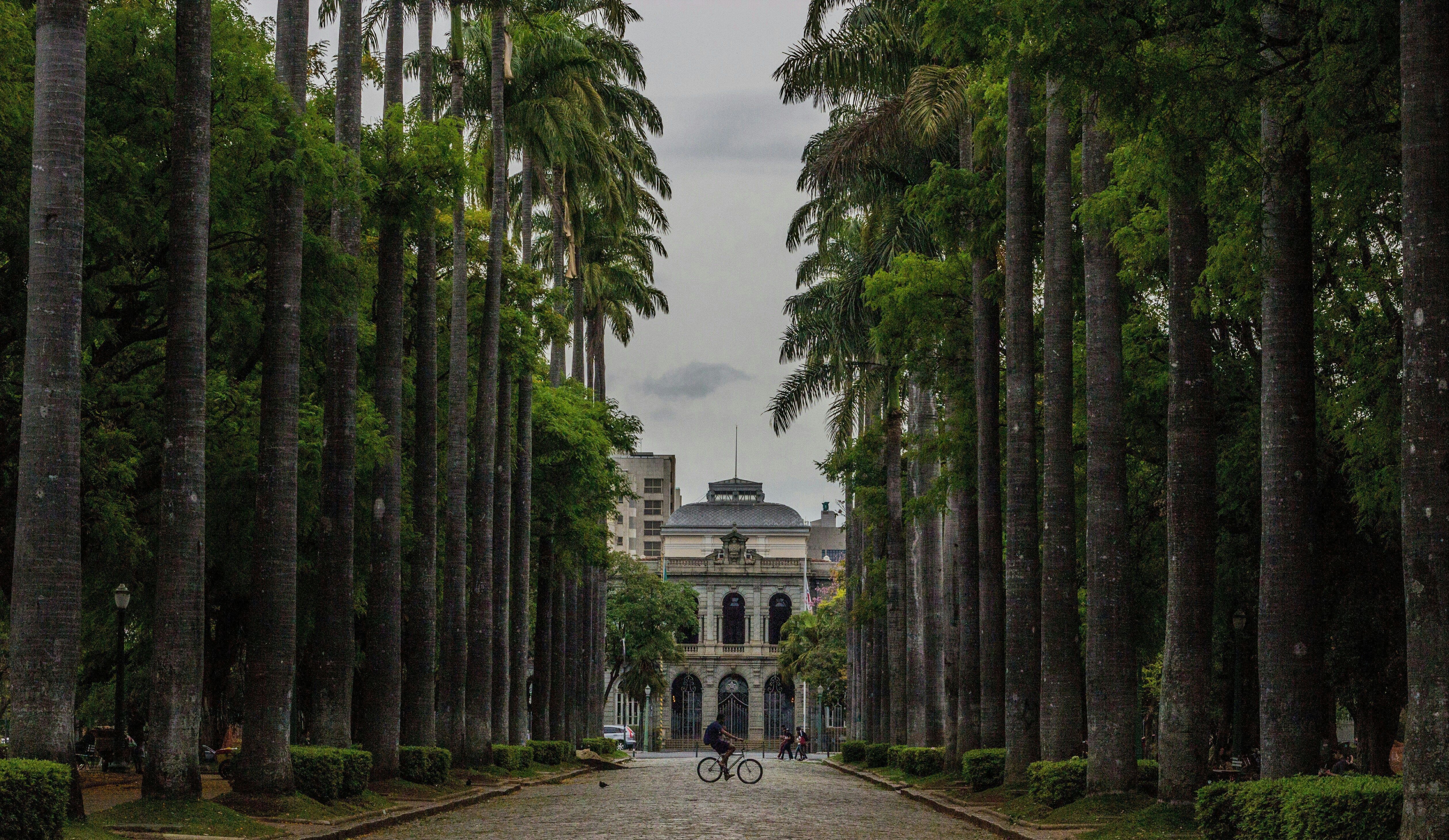 Governo Zema vai reeditar portaria que autoriza eventos privados no Palácio da Liberdade