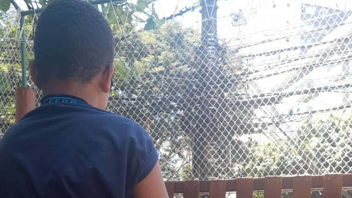 Mãe faz vaquinha para conseguir pagar cirurgia do filho autista com hidrocefalia e cisto no cérebro
