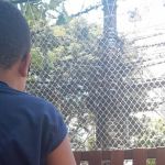 Mãe faz vaquinha para conseguir pagar cirurgia do filho autista com hidrocefalia e cisto no cérebro