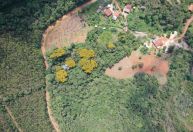 Ouro Preto é o primeiro município mineiro a ter Zoneamento Ambiental e Produtivo aprovado