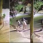 Vídeo: tia chuta e bate cabeça de sobrinha em asfalto após criança tocar campainha e sair correndo