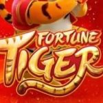 Jogo do Tigrinho: mulher diz que família perdeu mais de R$ 400 mil em apostas