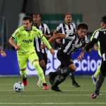 Botafogo e Palmeiras terminam rodada do Brasileirão com mesmo número de pontos