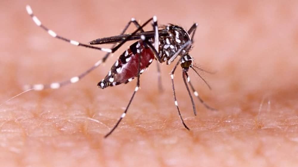 Vale do Aço registra mais de 16 mil casos de dengue em 2023