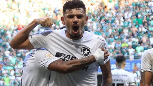 Tiquinho Soares, artilheiro do Botafogo e do Campeonato Brasileiro