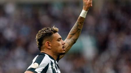 Tiquinho Soares, com lesão no joelho esquerdo, desfalcará o Botafogo por cerca de cinco semanas