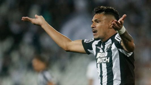 Tiquinho Soares comemorando o gol do Botafogo contra o Goiás