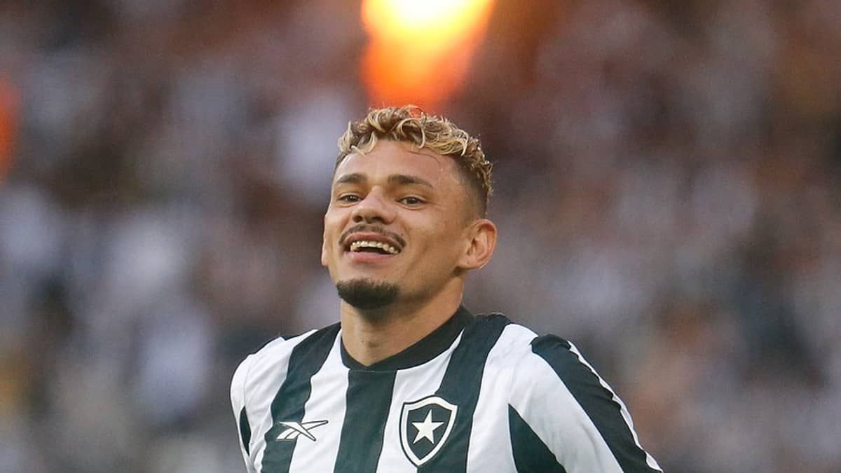 Artilheiro do Botafogo, Tiquinho Soares tem mais gols que o Vasco no Brasileirão