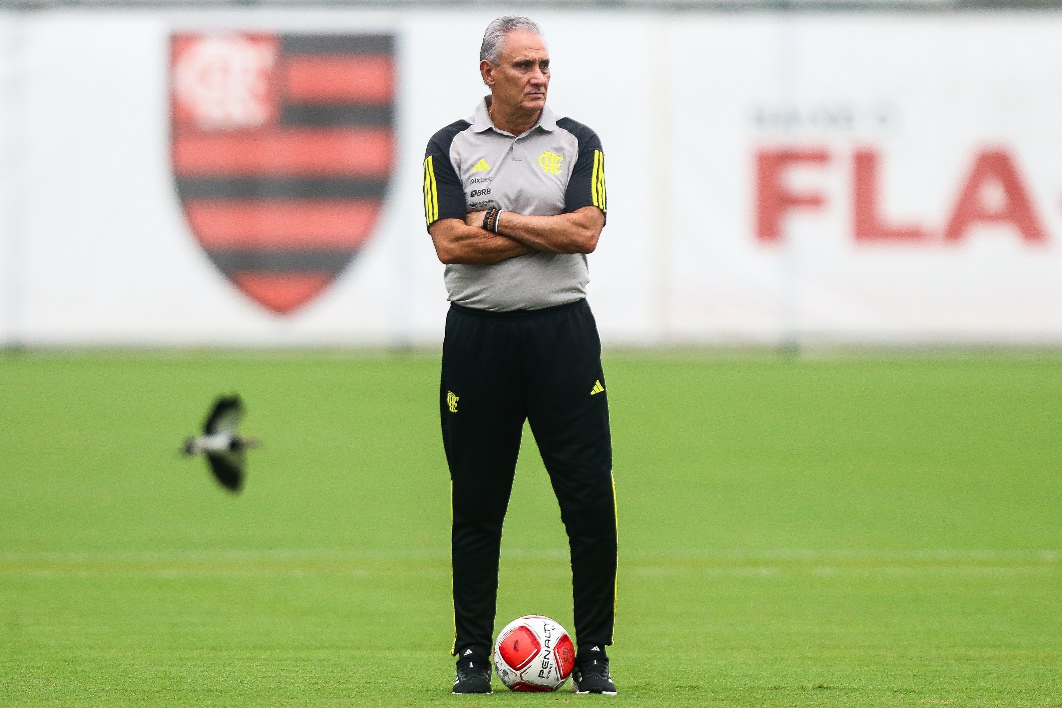 Embalado, Flamengo recebe o Palestino pela Libertadores