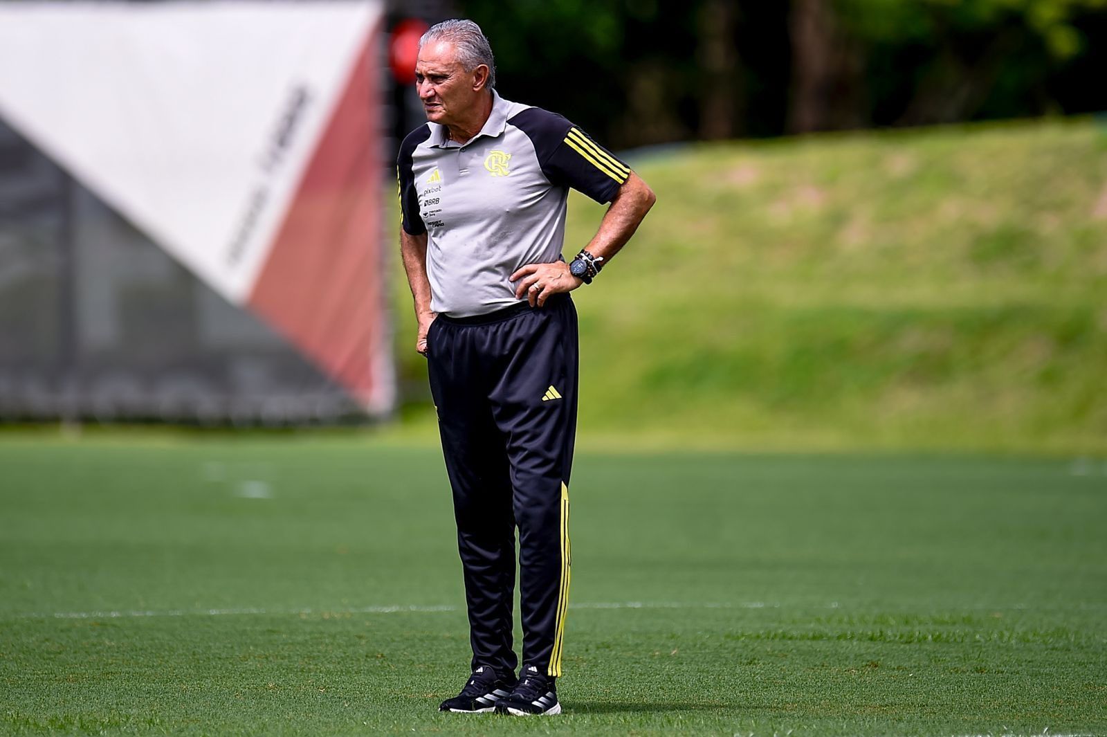 Como decisão de Tite, do Flamengo, frustrou planos do América