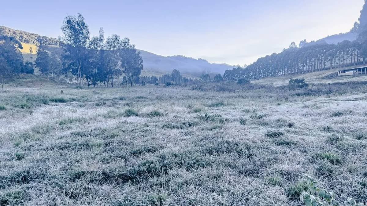 Minas tem três cidades entre as mais frias do país com temperaturas abaixo de 2°C; saiba quais 