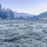 Minas tem três cidades entre as mais frias do país com temperaturas abaixo de 2°C; saiba quais 