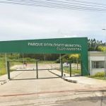 Corpus Christi: confira o que fazer em Betim nesta sexta-feira (9) 