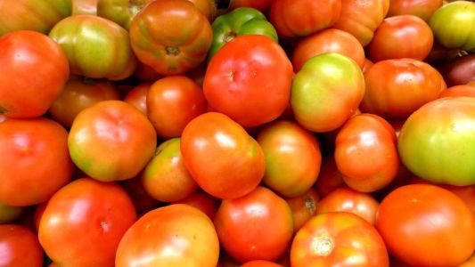 Tomate segue com preços altos no sacolão
