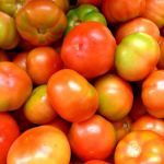 Preço do tomate e mamão no atacado tem queda acentuada em agosto