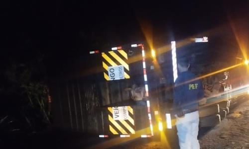 Carreta com gado tomba em Leopoldina