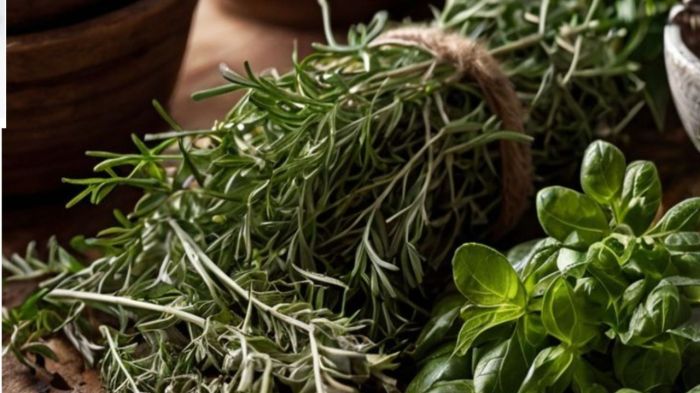 Tônico de alecrim para crescimento capilar natural 